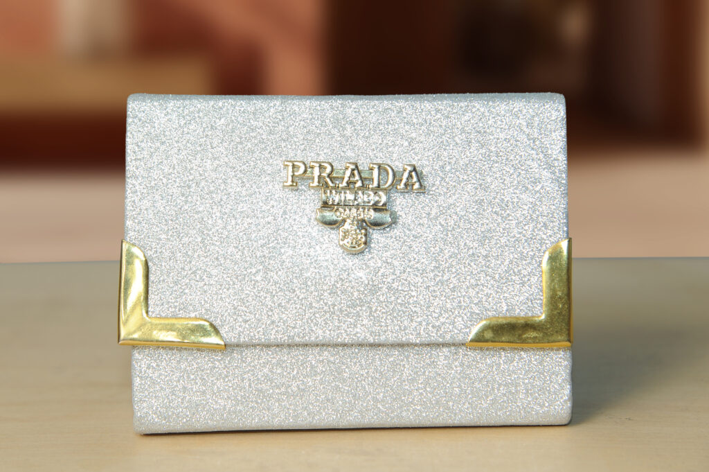 elegant shinning silver color clutch