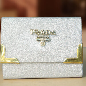 elegant shinning silver color clutch